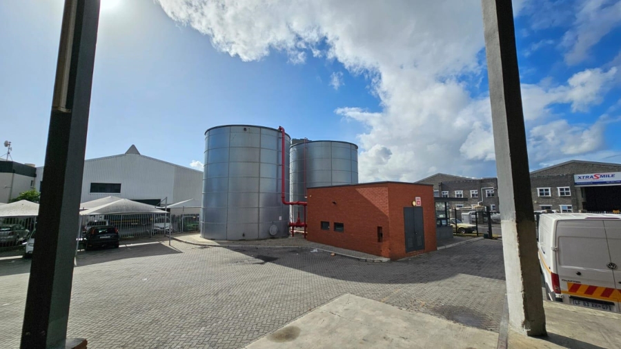 To Let commercial Property for Rent in Airport Industria Western Cape